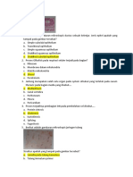 Soal Biomedik 1 Tahun 2020 Stambuk 20