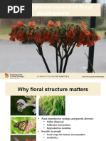 Transcriptional Control of Floral Development: © 2017 American Society of Plant Biologists