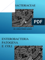 Bio Enterobacteriace 3