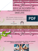 Atpc de Educação Especial