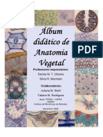 Álbum Didatico de Anatomia Vegetal (1)