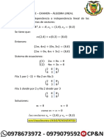 Determinar La Dependencia o Independencia Lineal de Los Siguientes Conjuntos de Vectores: V R 2, K R, V - 1 (2,4), V - 2 (0,3)