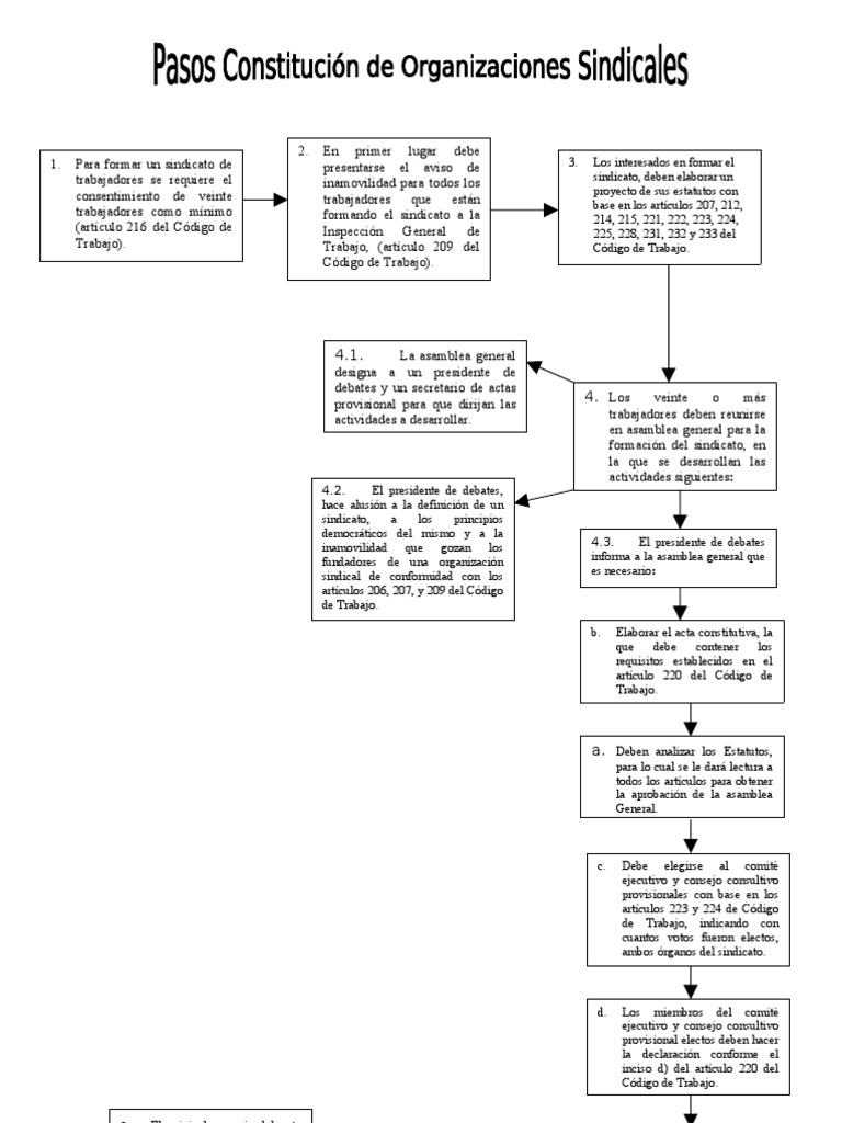 Pasos para Formar Un Sindicato............. | PDF | Gobierno | Justicia