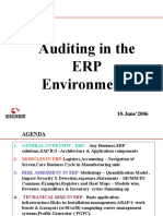 Auditing in The ERP Environments: 10-June'2006