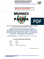 TDR Saneamiento - Pavina Baja