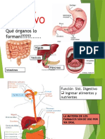 1 Aparato Digestivo 1