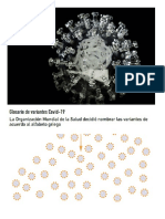 Infografía - Variantes de COVID-19