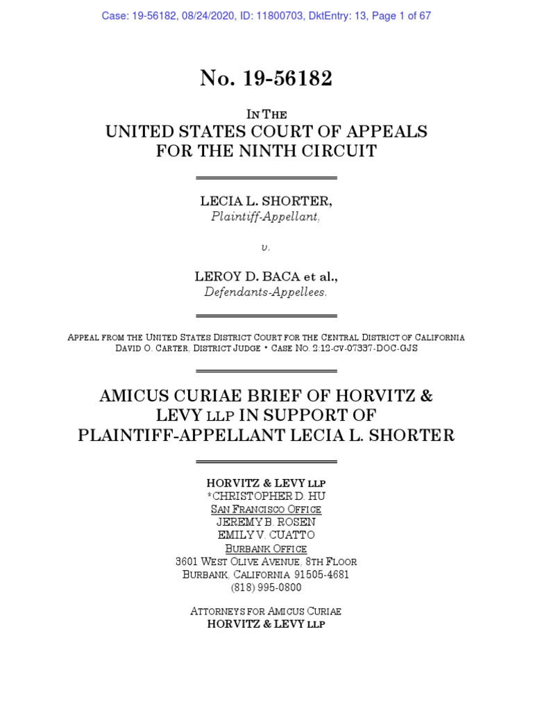 Amicus Brief PDF Lawsuit Brief (Law)