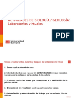 Laboratorios Virtuales (Explicación)