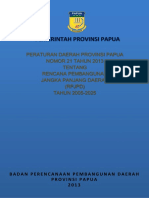 RPJPD Provinsi Papua 2005-2025