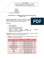 LABORATORIIO-No-7-Tobillo (1)