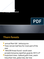 Presentation - Forests - Mangrove and Thorn Forest