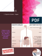 Digestive System - Organs