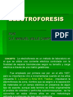 7 Electroforesis