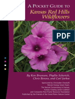 Kansas Red Hills Wildflowers: Ocket Uide To