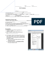 RNA Worksheet Structure of RNA