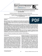 Preliminary Study On Thiamethoxam Degrading Bacteria Isolated From Corn Plantation