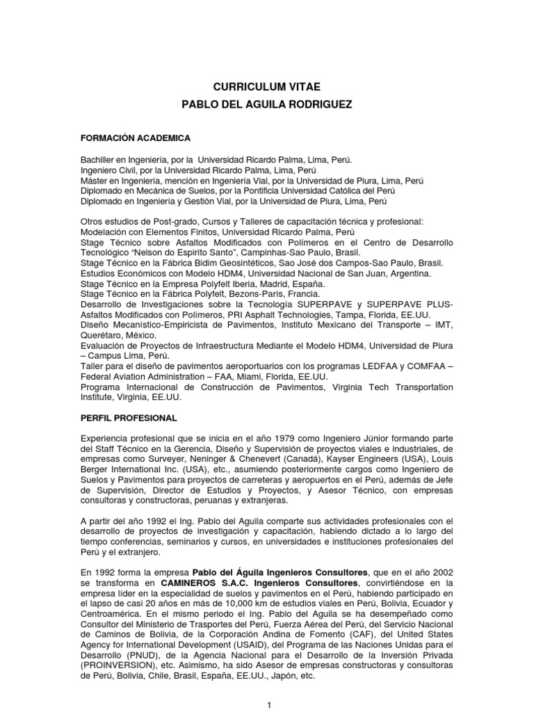 CV Del Aguila | PDF | Perú | Ingeniería