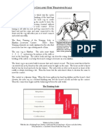 5th Horse Lesson The Cog and The Training Scale Article