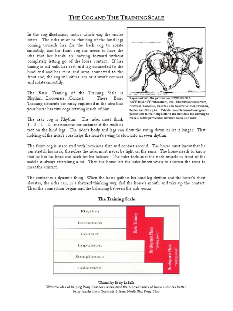 5th Horse Lesson The Cog and The Training Scale Article | PDF | Equus ...