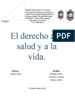 Derecho A La Salud y Vida (Taller)