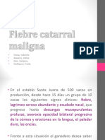 Fiebre Catarral Maligna