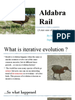 Aldabra Rail: (A Rare Case of Iterative Evolution)