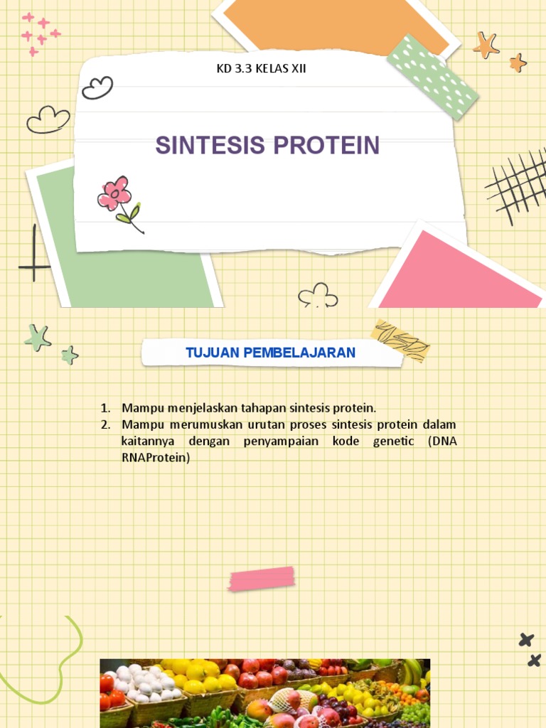 Proses Sintesis Protein dan Tahapannya | PDF