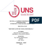 Práctica N10 Nutricion y Toxicologia Alimentaria