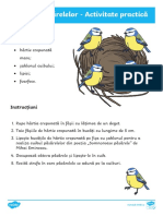 Ro Dec 92 Mihai Eminescu Cuibul Pasarelelor Activitate Practica Ver 3 (1)