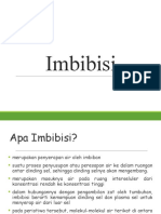 Imbibisi