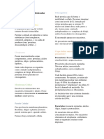 Aula 1 - Biologia Celular e Molecular