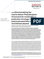 2019 - Pudney Et Al. - Multifunctionalizing The Marine Diatom Phaeodactylum Tricornutum For Sustainable Co-Production of Omega-3 Long CH