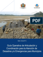 Guia Operativa y Articulacion PDF