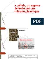 Diaporama Membrane Plasmique 2021