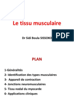 Le Tissu Musculaire PowerPoint