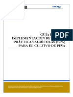 Guía para La Implementación de Buenas Prácticas Agrícolas (Bpa) para El Cultivo de Piña