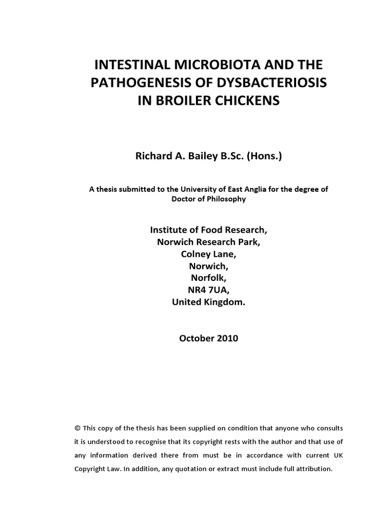 G H Dysbacteriosis PDF Digestion Small Intestine