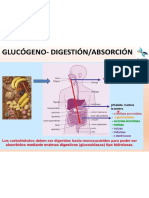 Diapositiva6