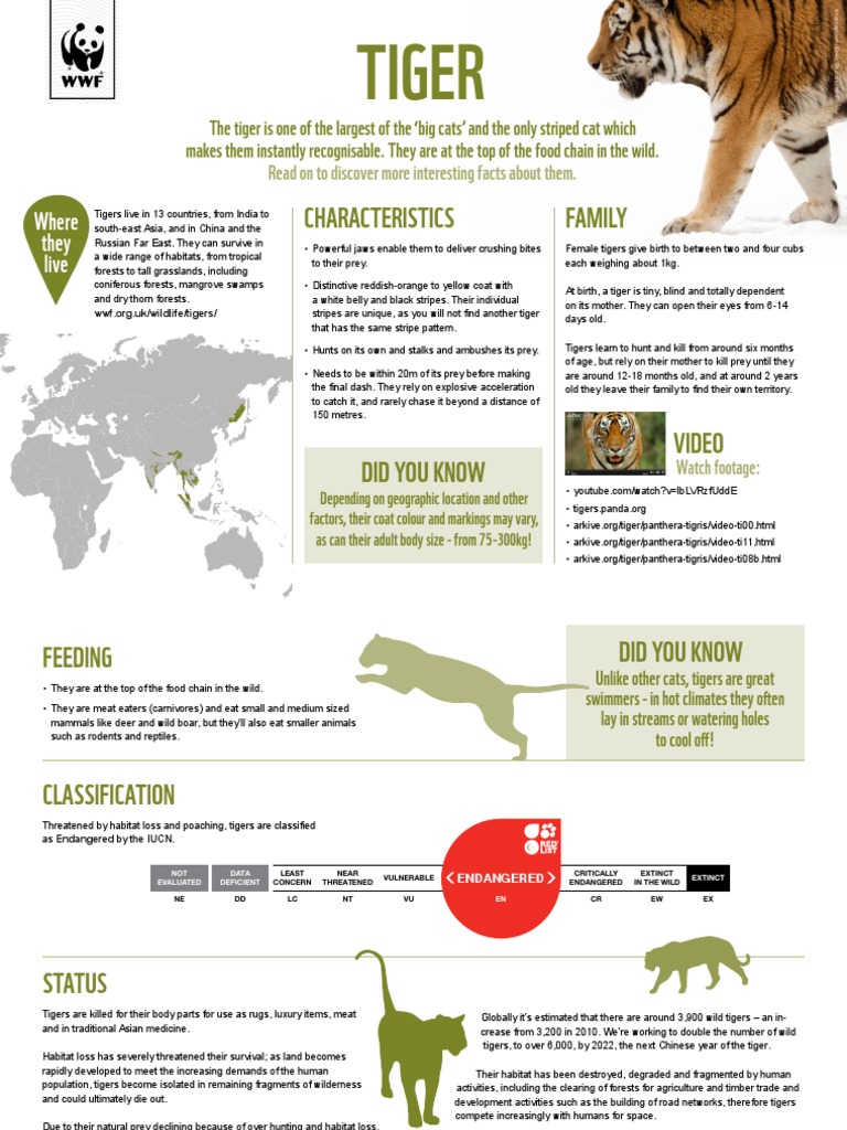 WWF - WiW - 2017 - Factsheet - Tiger FINAL | PDF | Endangered Species ...