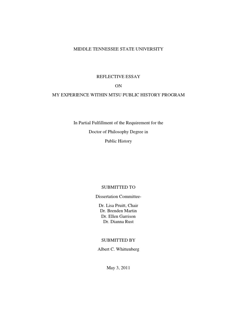 Csp reflection essay 04 image