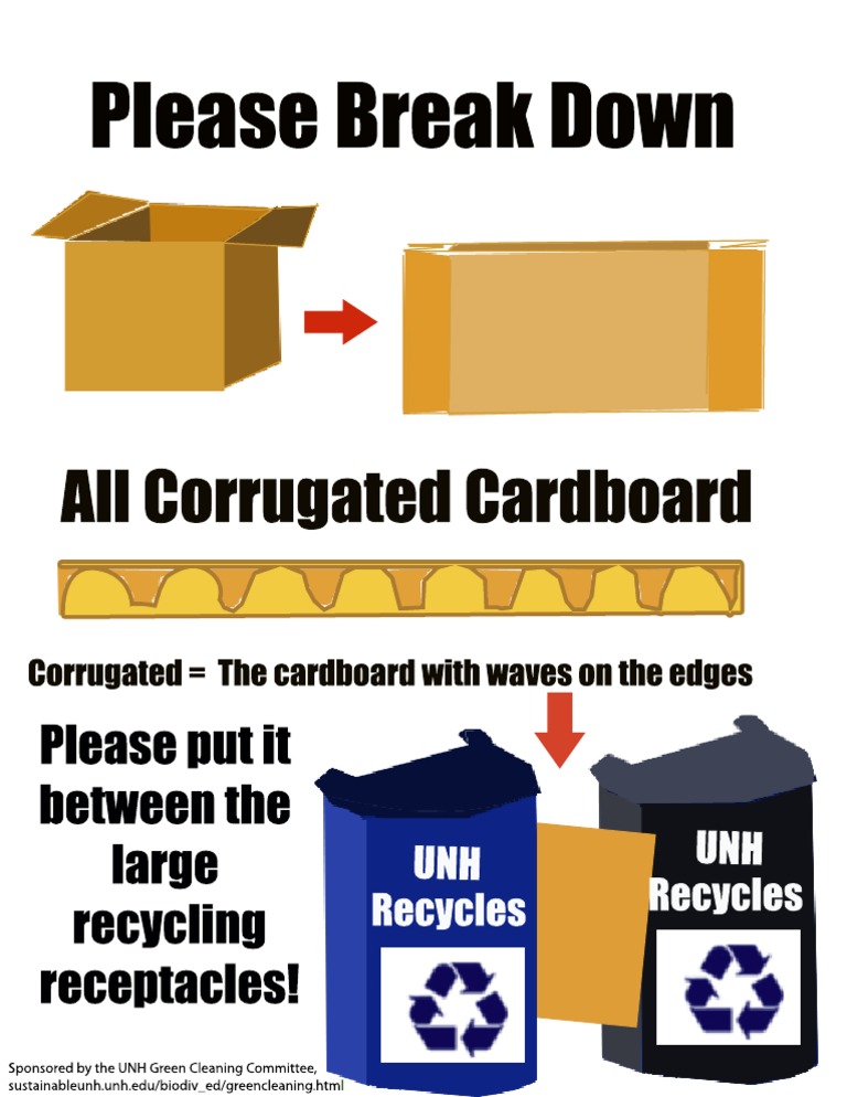 Cardboard | PDF | Procedural Knowledge | Printing