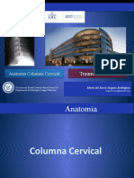 Tec Radiolgia Anatomia Columna y Trauma Cervical