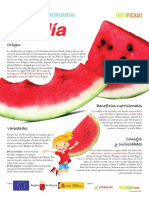 FICHA11SANDIA