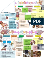 Mapas Conceptuales de A. Circulatorio y Respiratorio