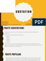 Gustation 