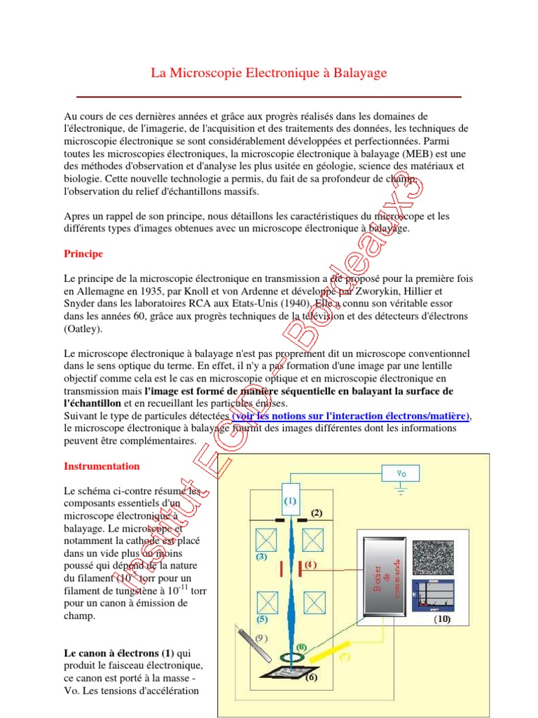 Meb, PDF, Microscopie électronique à balayage