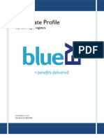Blue Ex corporate profile highlights logistics solutions