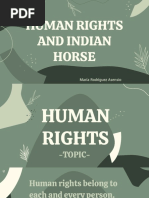 Human Rights and Indian Horse