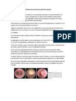 Patología Obstructiva de Las Glándulas Salivales